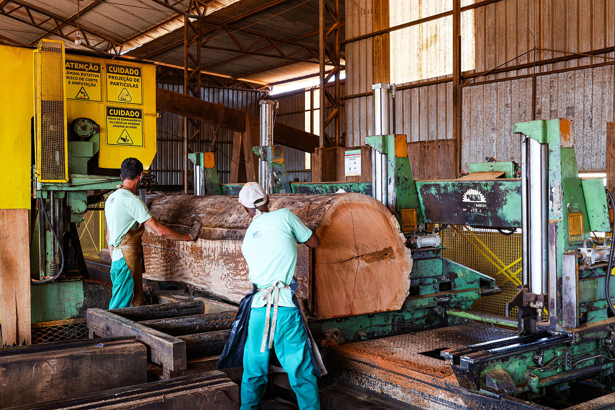 Especialistas em madeira