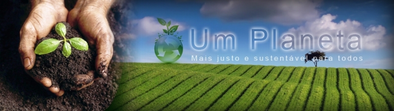 Sustentabilidade